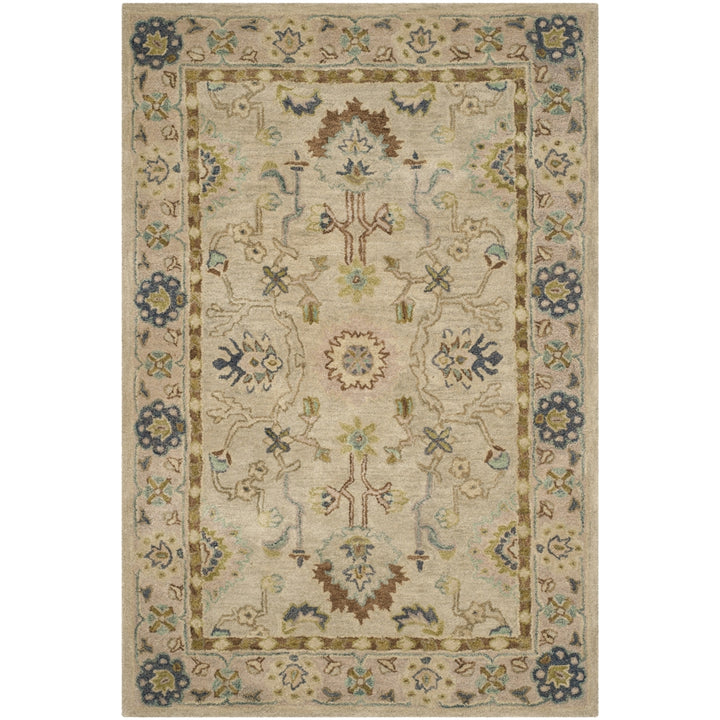 SAFAVIEH Anatolia AN585B Handmade Ivory / Beige Rug Image 9