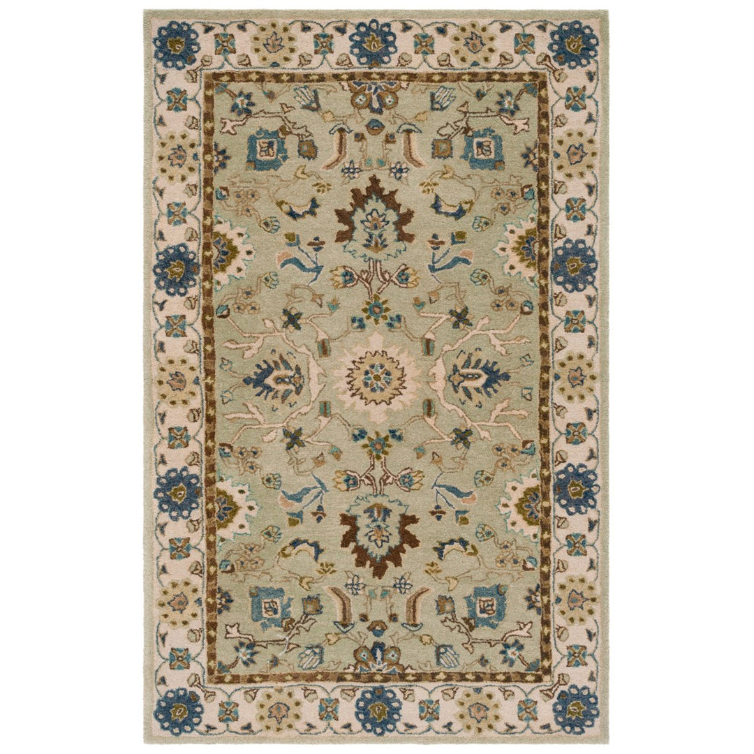 SAFAVIEH Anatolia AN585B Handmade Ivory / Beige Rug Image 10