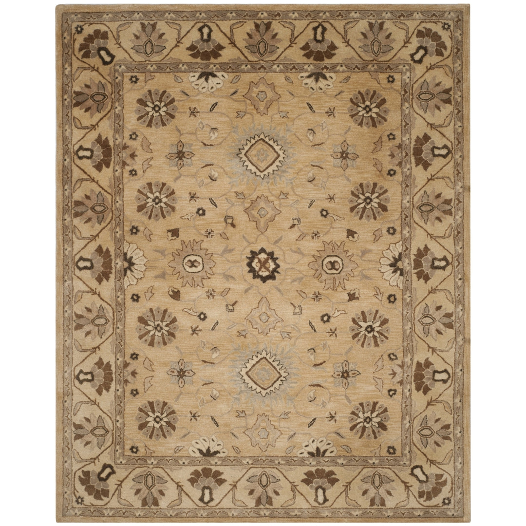 SAFAVIEH Anatolia AN586G Handmade Beige / Beige Rug Image 1