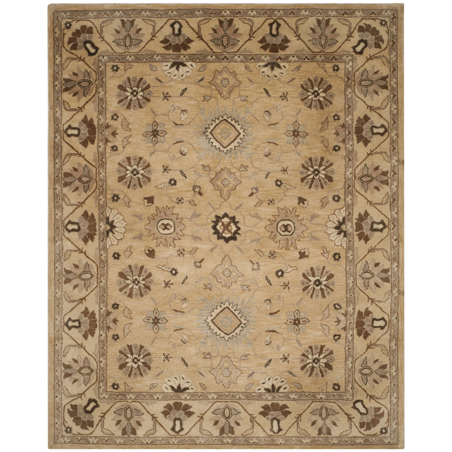 SAFAVIEH Anatolia AN586G Handmade Beige / Beige Rug Image 1