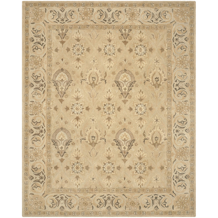 SAFAVIEH Anatolia AN587A Handmade Beige / Beige Rug Image 1