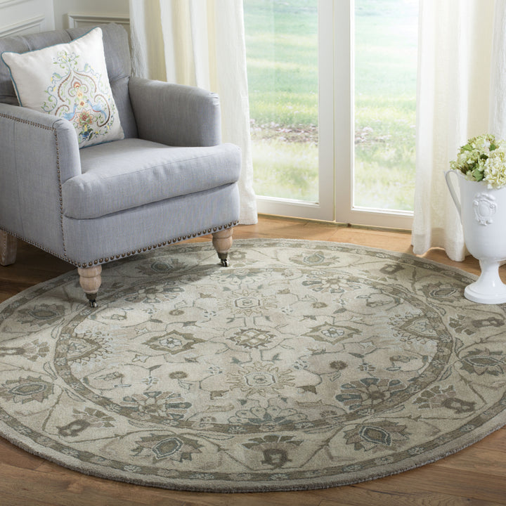 SAFAVIEH Anatolia AN586G Handmade Beige / Beige Rug Image 2