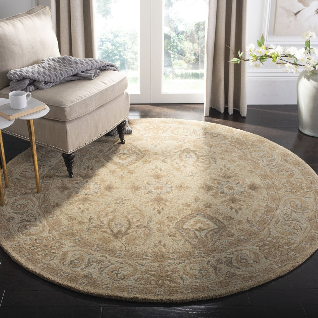 SAFAVIEH Anatolia AN587A Handmade Beige / Beige Rug Image 2