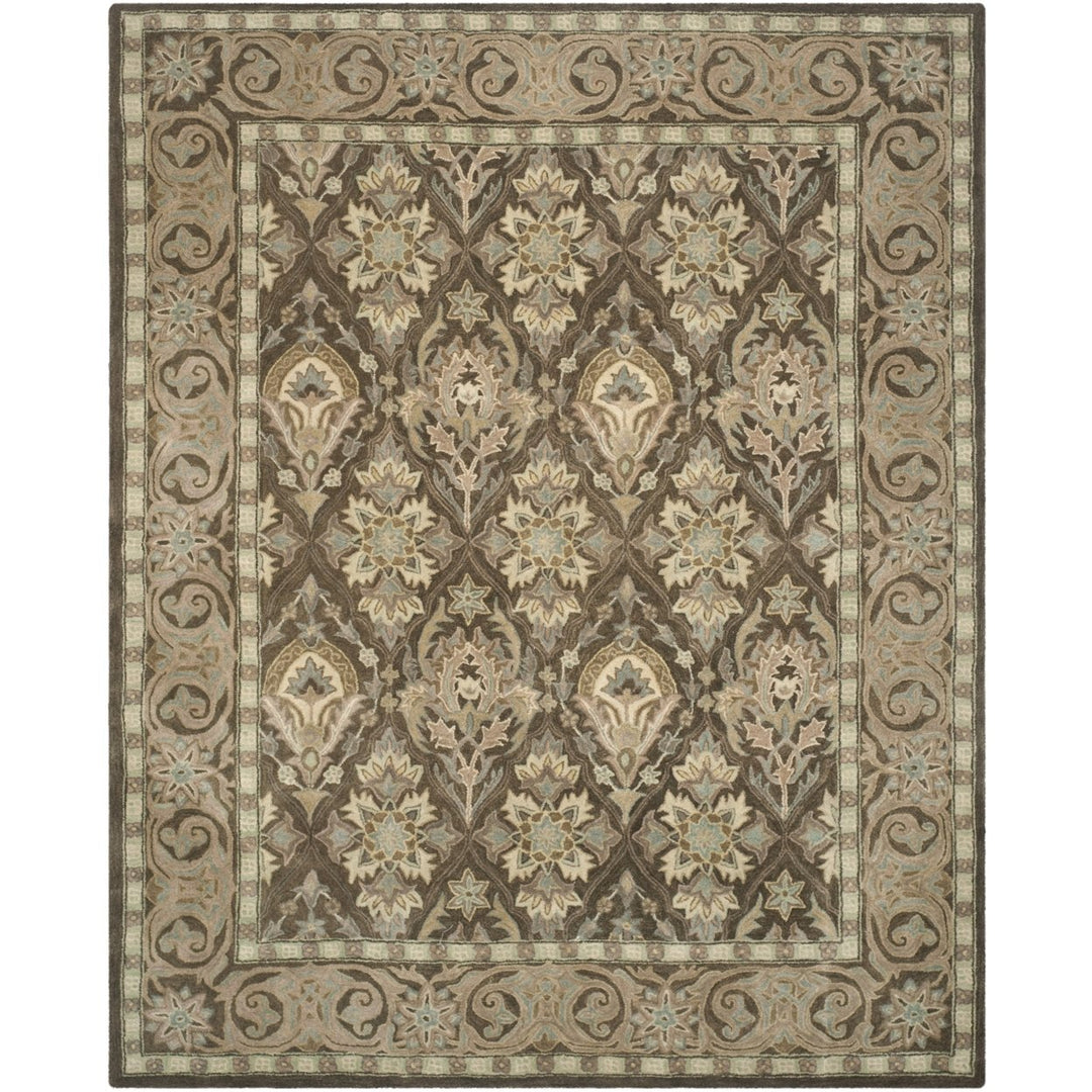 SAFAVIEH Anatolia AN587C Handmade Brown / Beige Rug Image 1