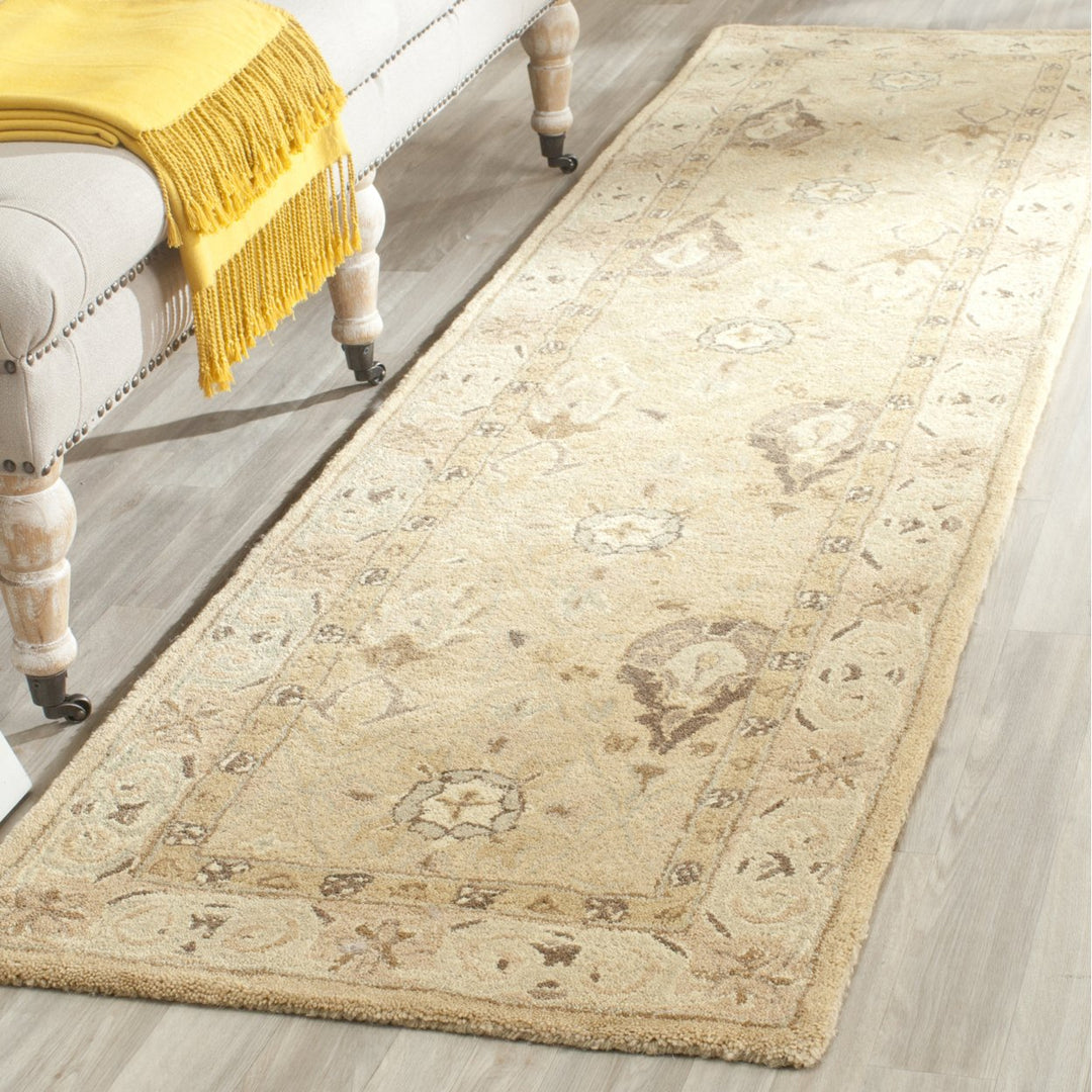 SAFAVIEH Anatolia AN587A Handmade Beige / Beige Rug Image 3