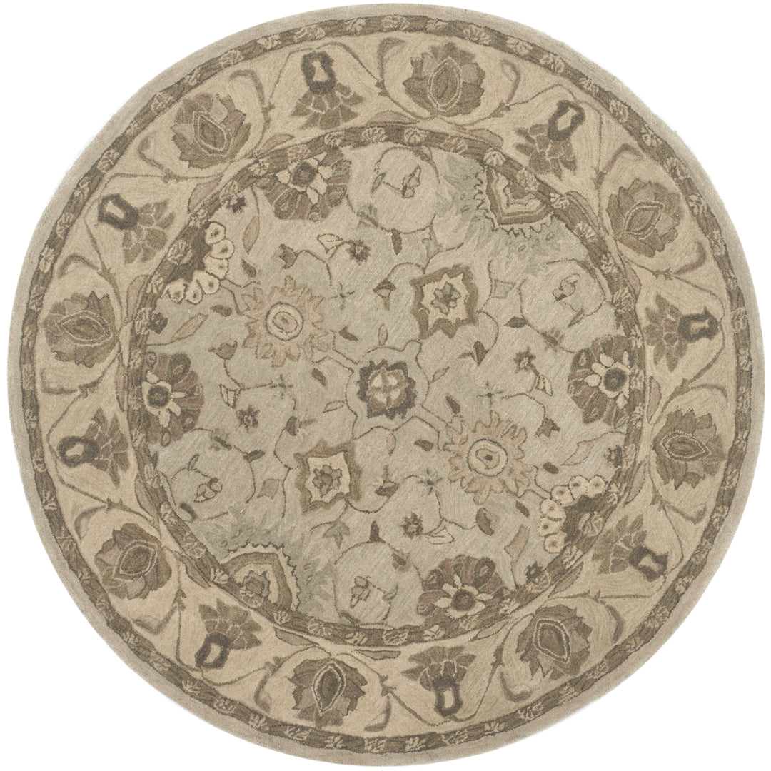 SAFAVIEH Anatolia AN586G Handmade Beige / Beige Rug Image 4