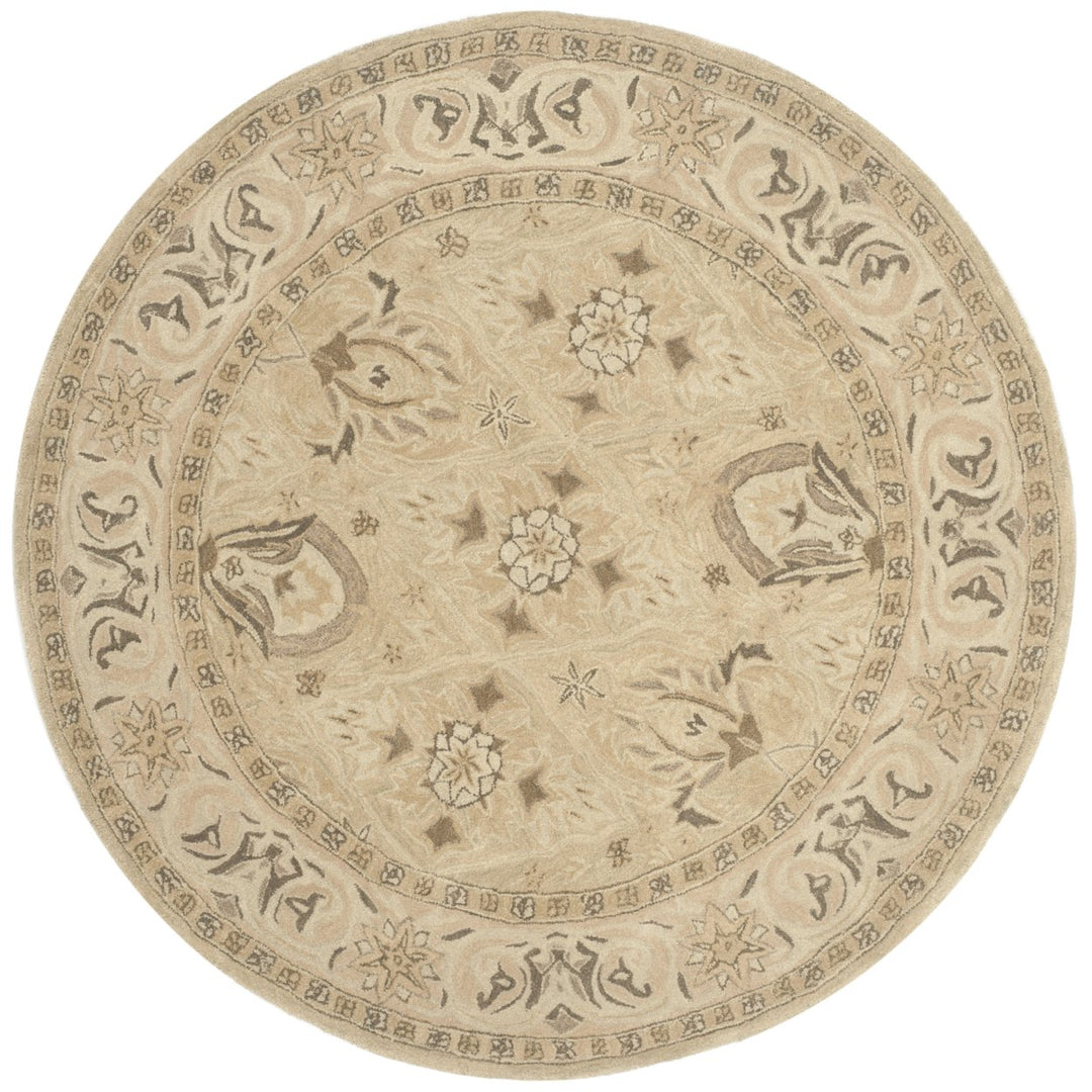 SAFAVIEH Anatolia AN587A Handmade Beige / Beige Rug Image 4