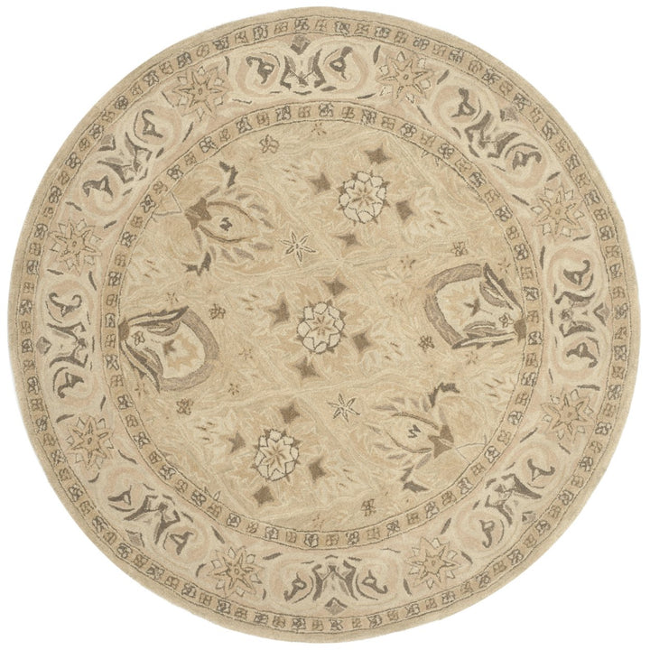 SAFAVIEH Anatolia AN587A Handmade Beige / Beige Rug Image 4