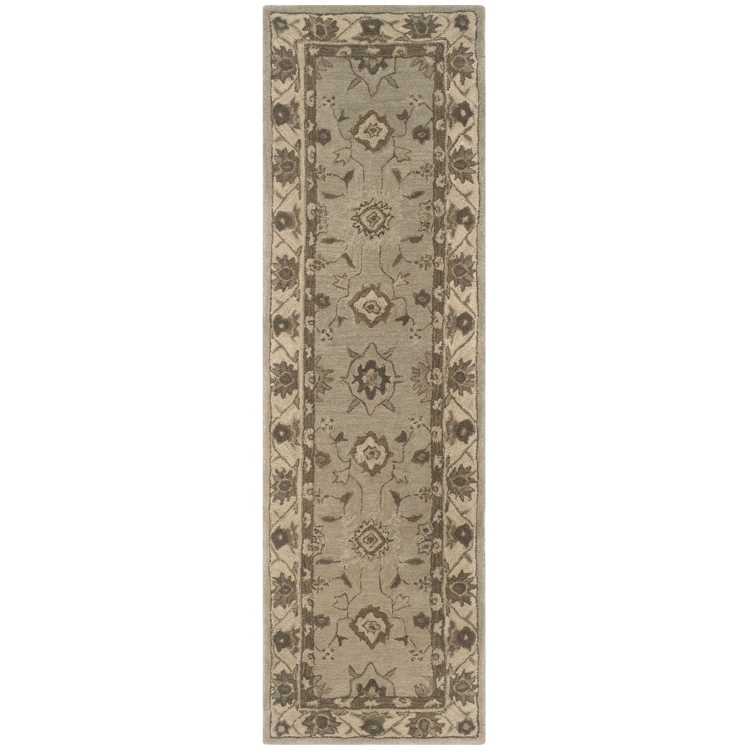 SAFAVIEH Anatolia AN586G Handmade Beige / Beige Rug Image 5