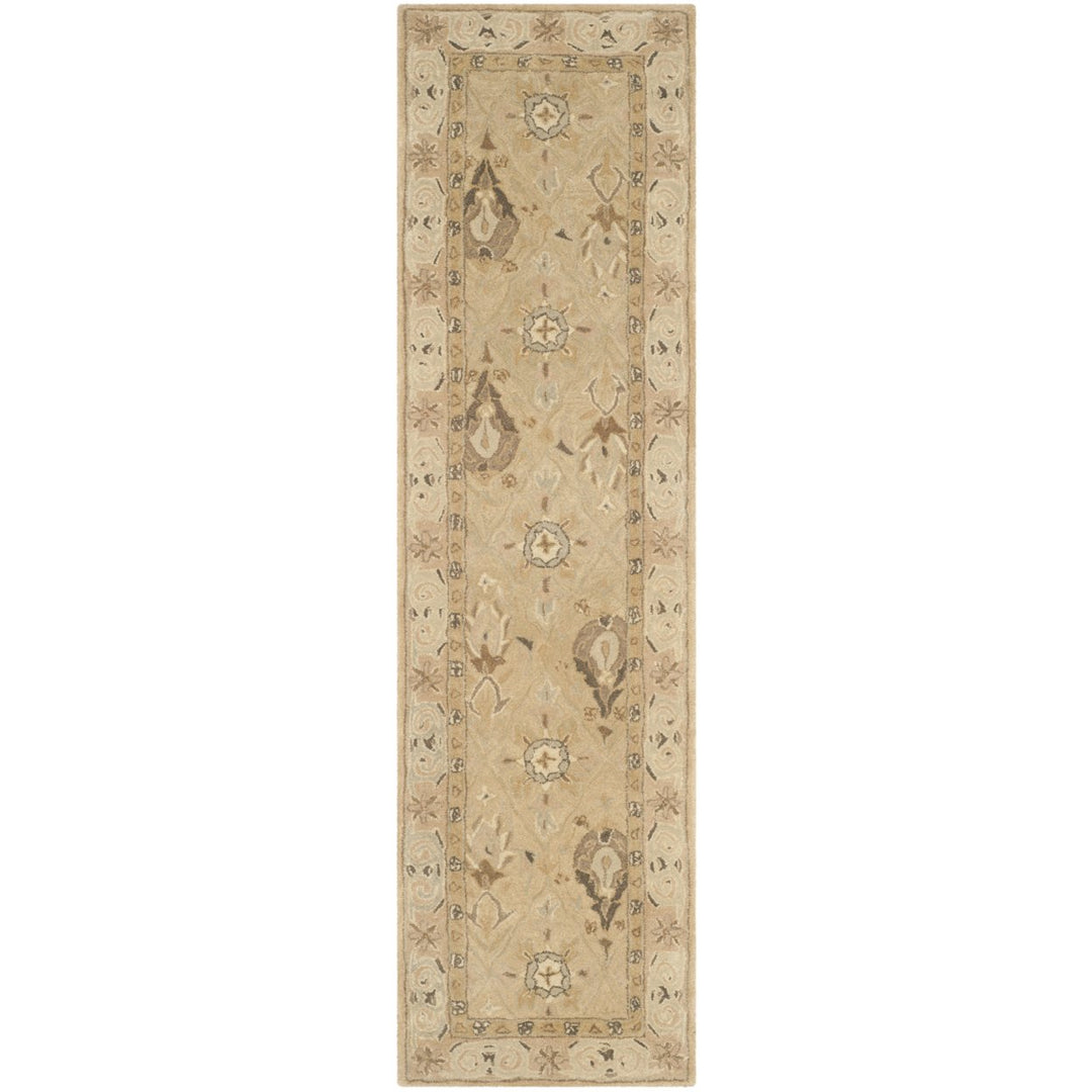 SAFAVIEH Anatolia AN587A Handmade Beige / Beige Rug Image 5