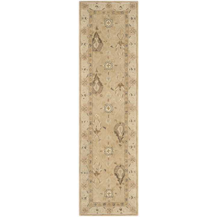 SAFAVIEH Anatolia AN587A Handmade Beige / Beige Rug Image 5