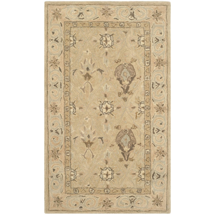 SAFAVIEH Anatolia AN587A Handmade Beige / Beige Rug Image 8