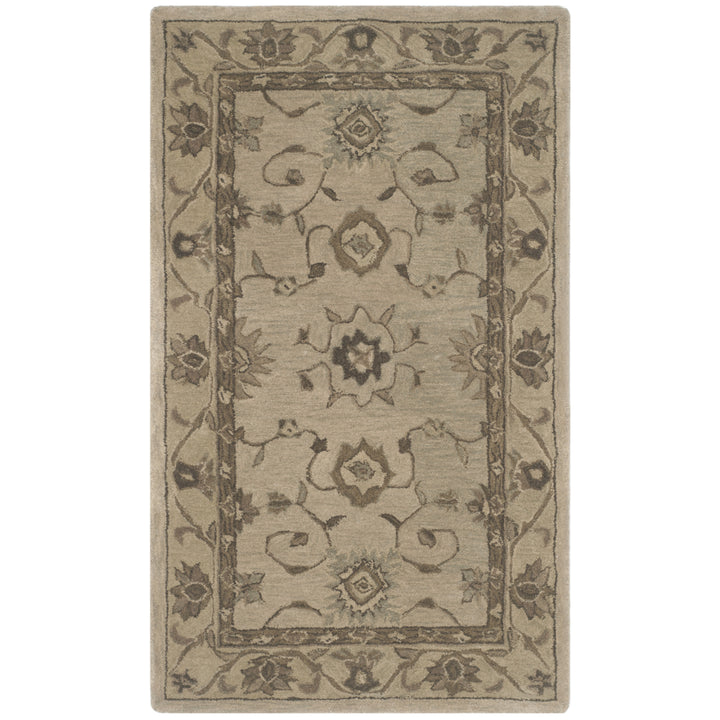 SAFAVIEH Anatolia AN586G Handmade Beige / Beige Rug Image 8