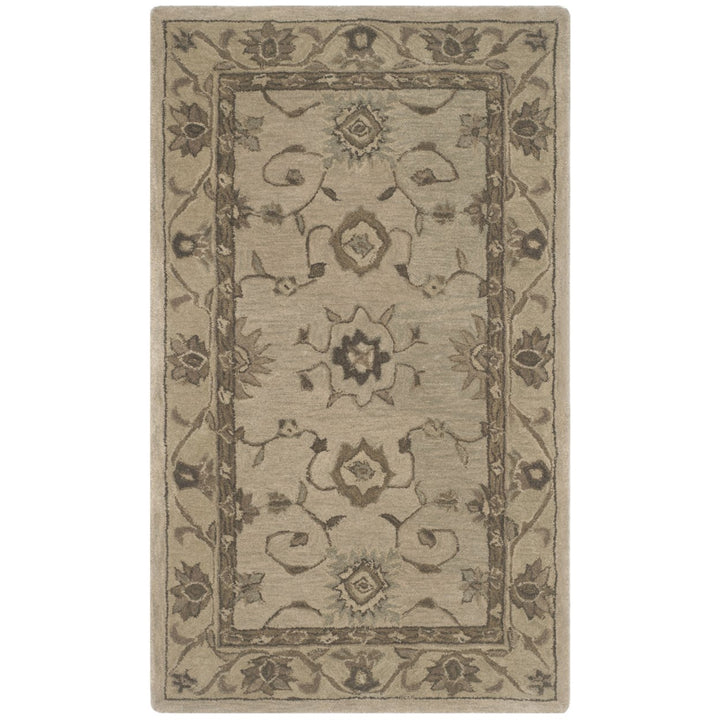 SAFAVIEH Anatolia AN586G Handmade Beige / Beige Rug Image 1