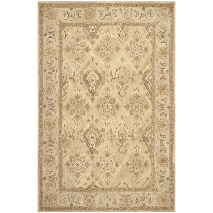 SAFAVIEH Anatolia AN587A Handmade Beige / Beige Rug Image 9