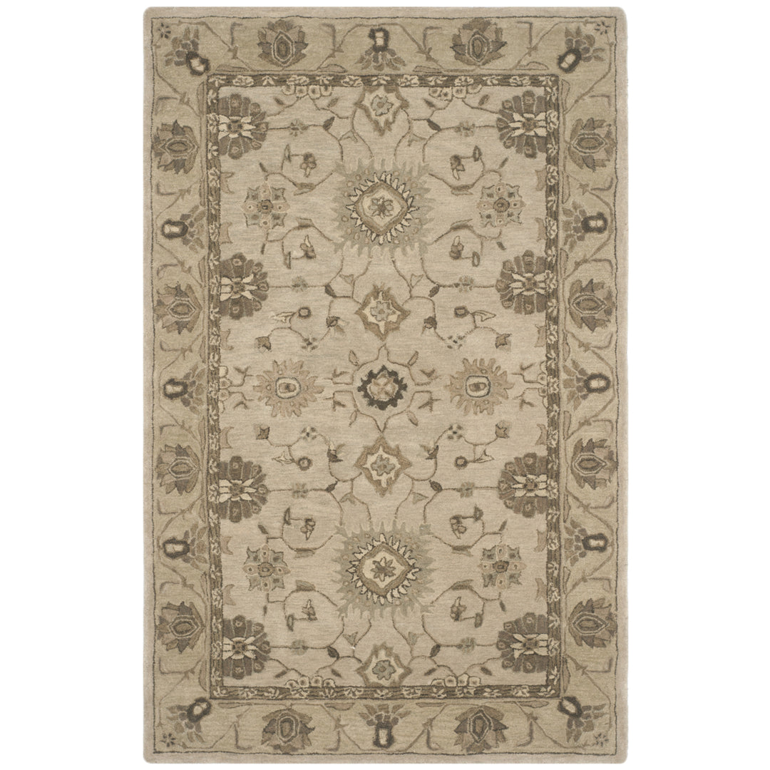 SAFAVIEH Anatolia AN586G Handmade Beige / Beige Rug Image 9