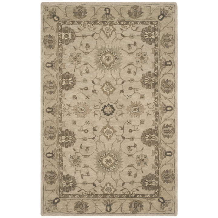 SAFAVIEH Anatolia AN586G Handmade Beige / Beige Rug Image 9