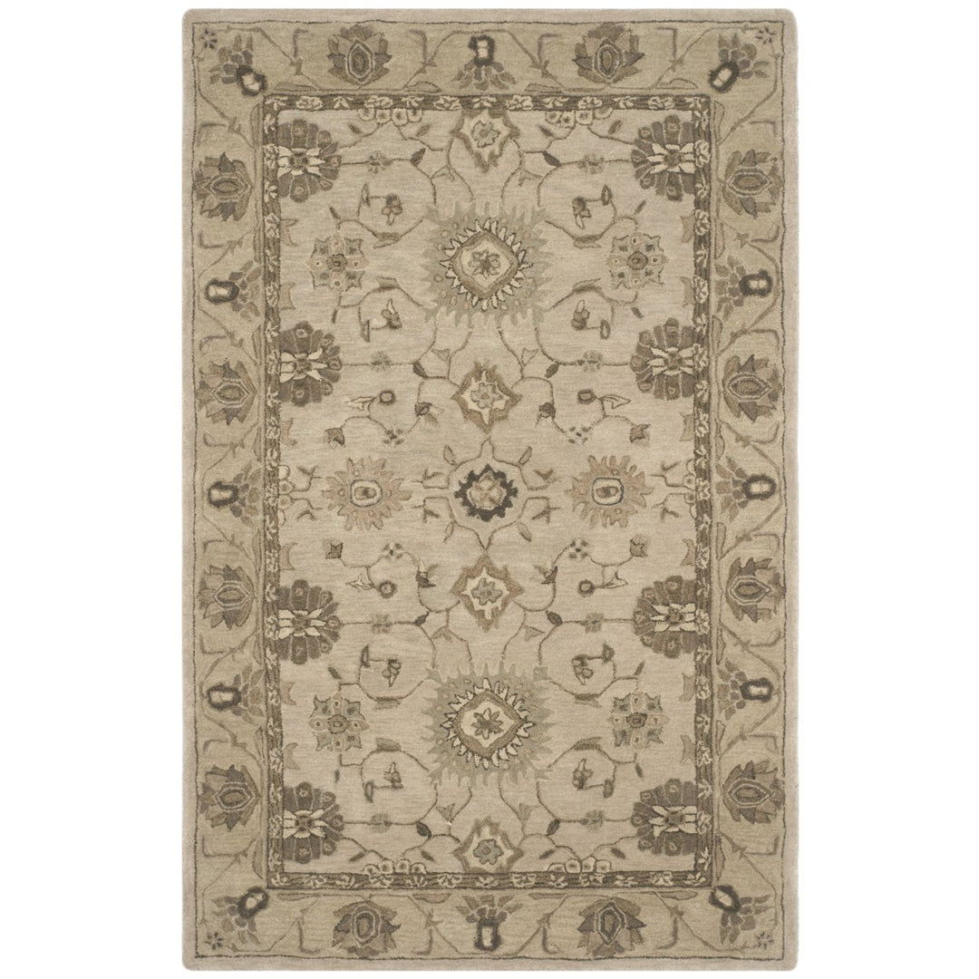 SAFAVIEH Anatolia AN586G Handmade Beige / Beige Rug Image 1