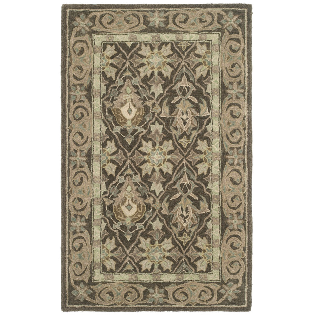 SAFAVIEH Anatolia AN587C Handmade Brown / Beige Rug Image 8