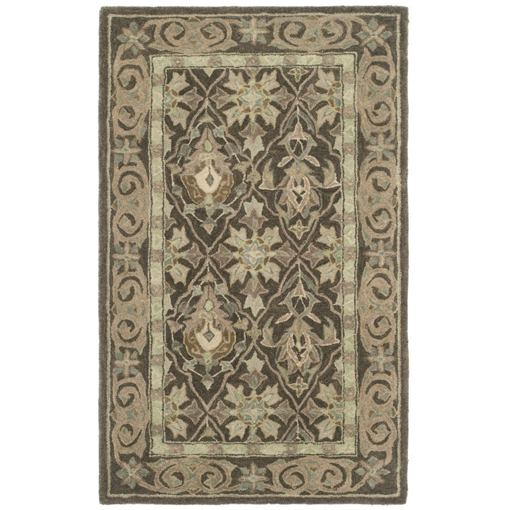 SAFAVIEH Anatolia AN587C Handmade Brown / Beige Rug Image 1