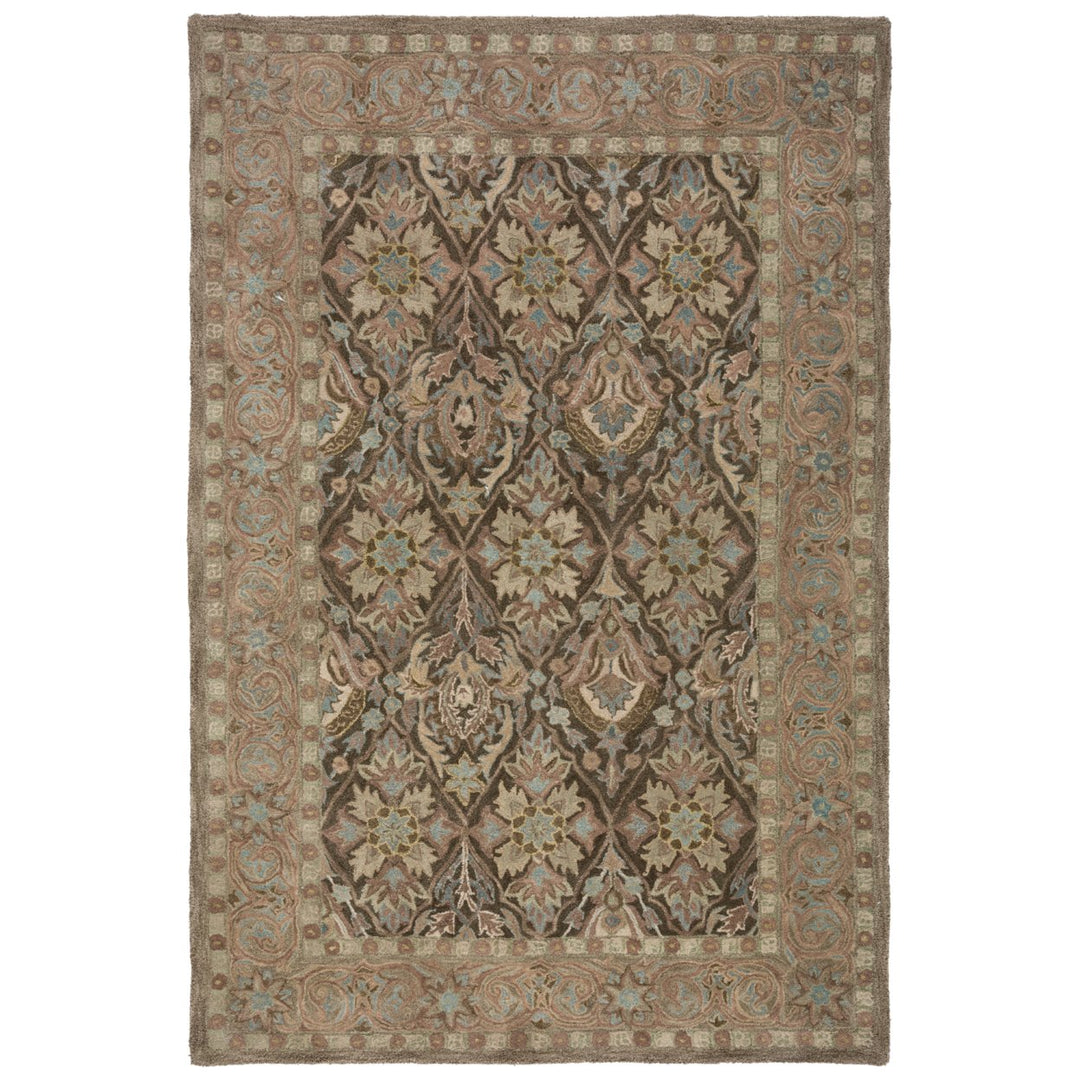 SAFAVIEH Anatolia AN587C Handmade Brown / Beige Rug Image 9