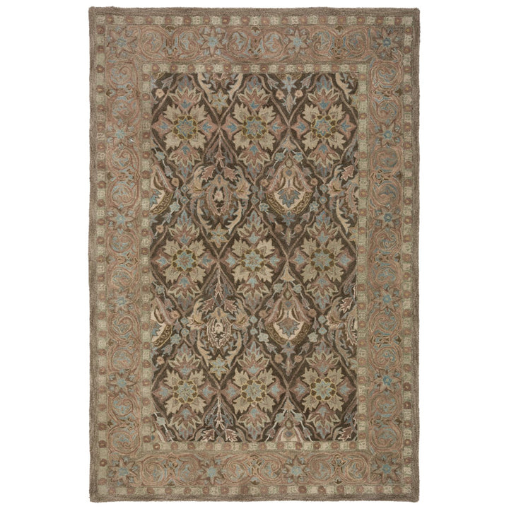 SAFAVIEH Anatolia AN587C Handmade Brown / Beige Rug Image 9