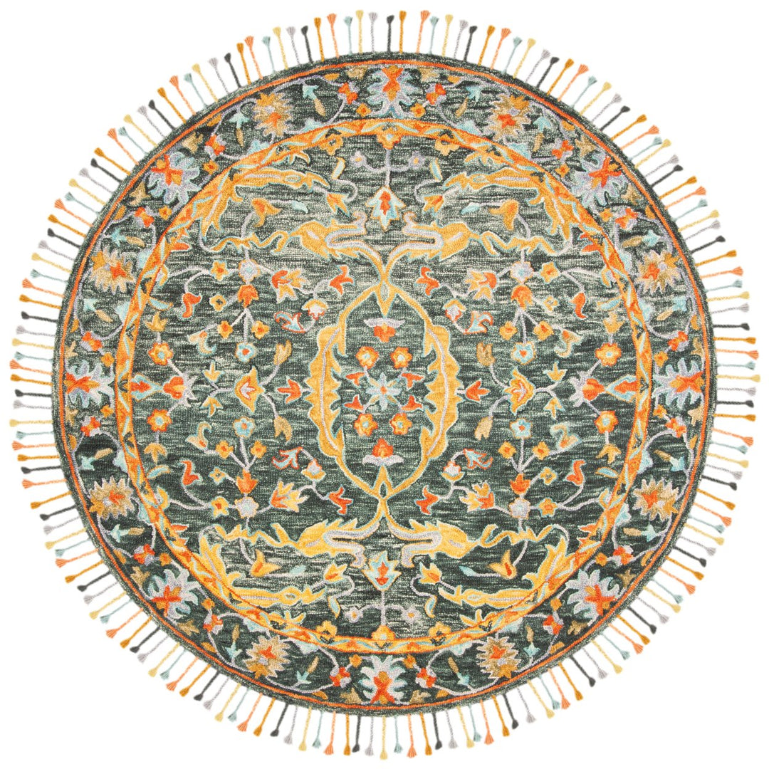 SAFAVIEH Aspen APN116X Handmade Olive / Rust Rug Image 4