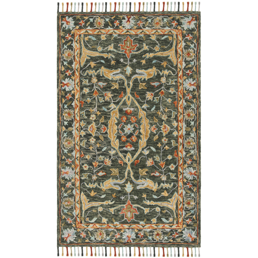 SAFAVIEH Aspen APN116X Handmade Olive / Rust Rug Image 10