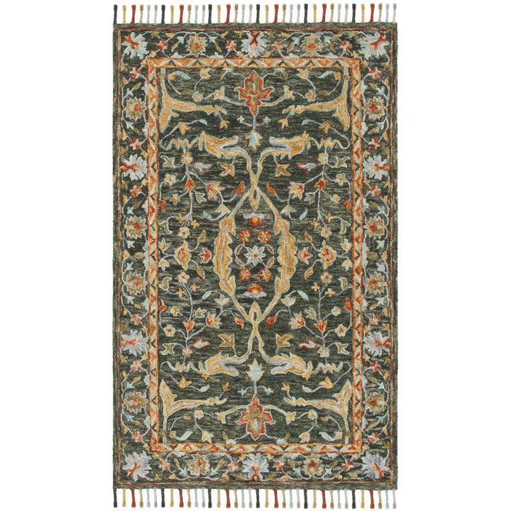 SAFAVIEH Aspen APN116X Handmade Olive / Rust Rug Image 10