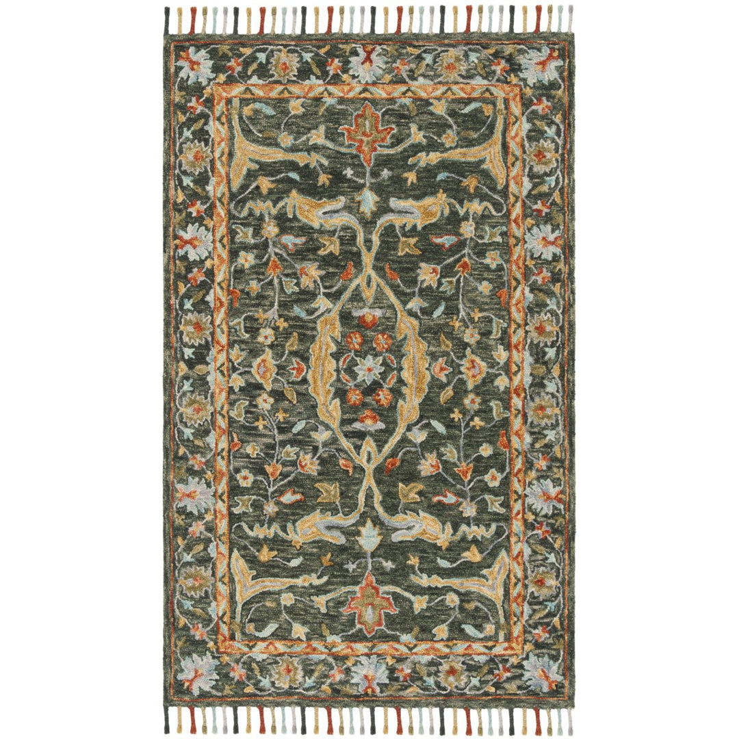 SAFAVIEH Aspen APN116X Handmade Olive / Rust Rug Image 1