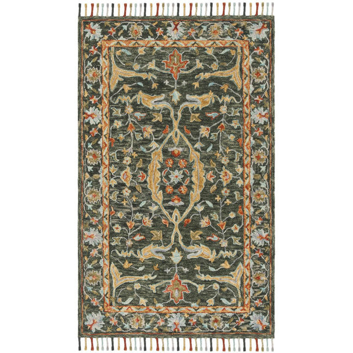 SAFAVIEH Aspen APN116X Handmade Olive / Rust Rug Image 1