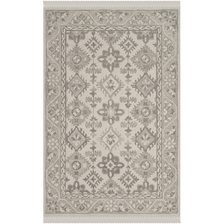 SAFAVIEH Aspen APN120A Handmade Light Grey / Grey Rug Image 1