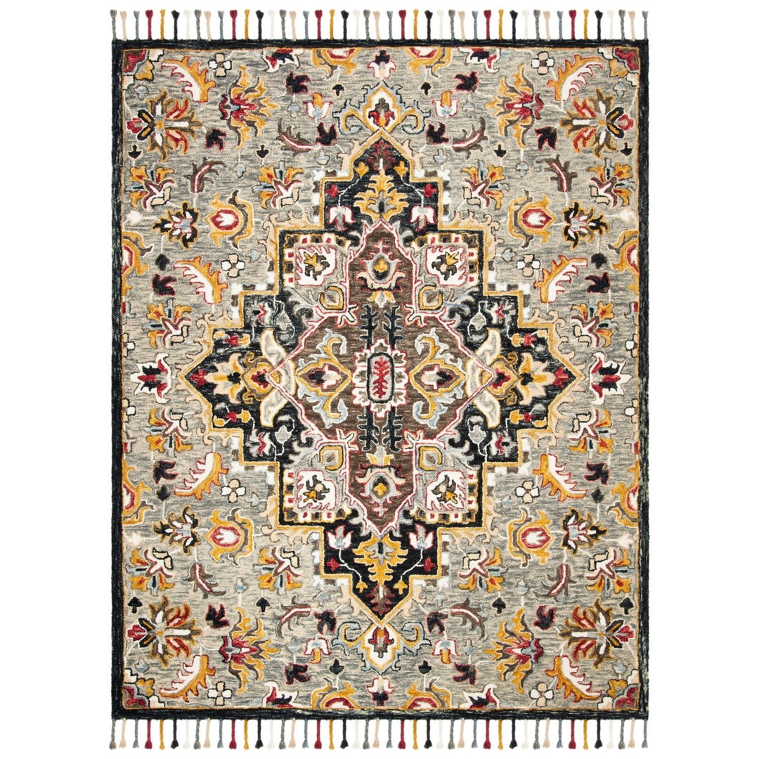 SAFAVIEH Aspen Collection APN207F Grey / Charcoal Rug Image 1