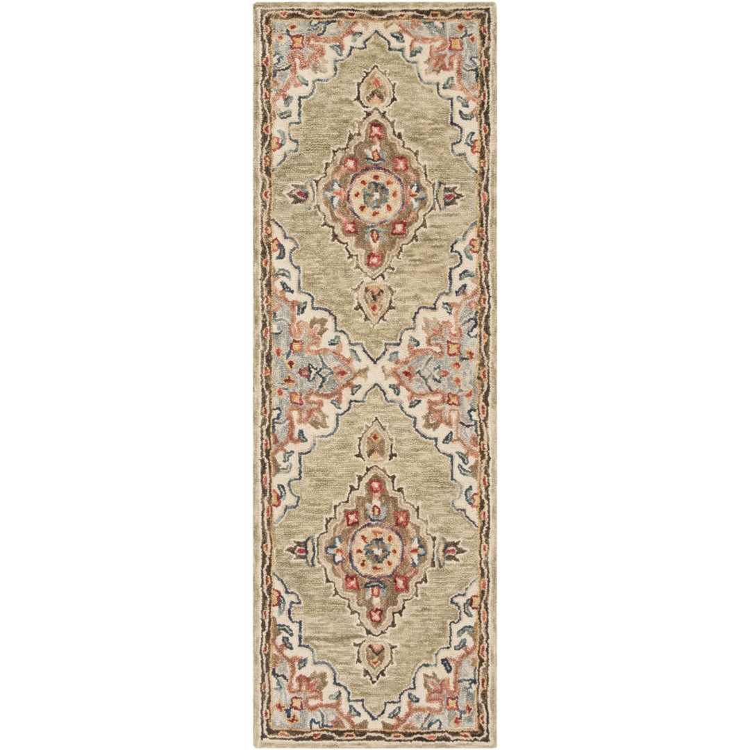 SAFAVIEH Aspen APN506A Handmade Sage / Brown Rug Image 1