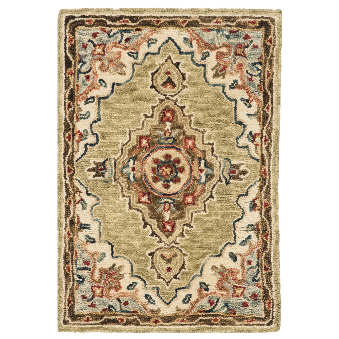 SAFAVIEH Aspen APN506A Handmade Sage / Brown Rug Image 1