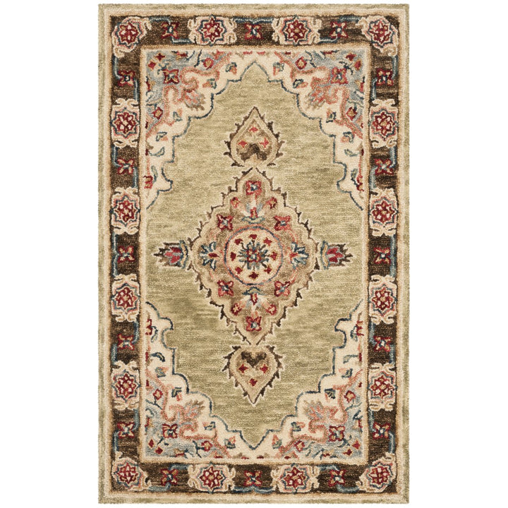 SAFAVIEH Aspen APN506A Handmade Sage / Brown Rug Image 1