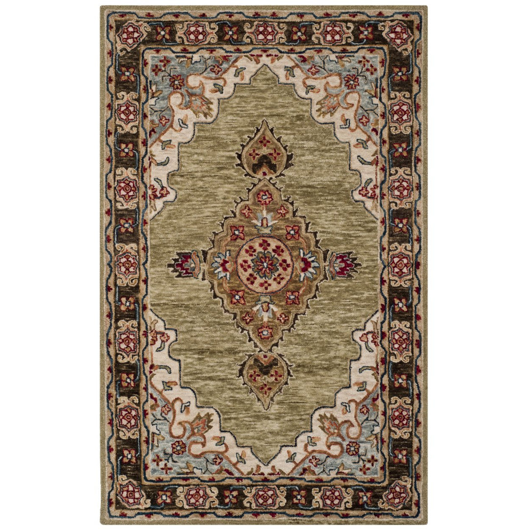 SAFAVIEH Aspen APN506A Handmade Sage / Brown Rug Image 1