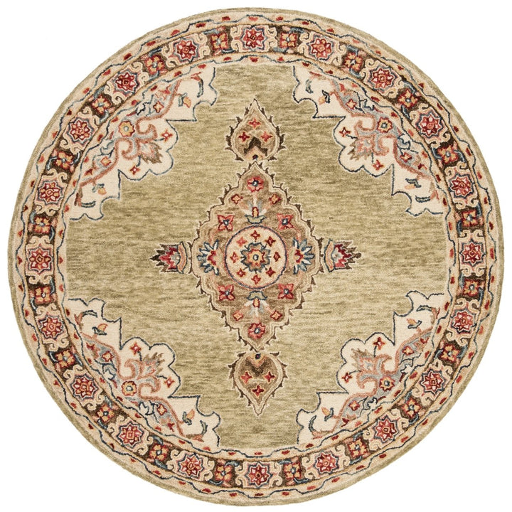 SAFAVIEH Aspen APN506A Handmade Sage / Brown Rug Image 1