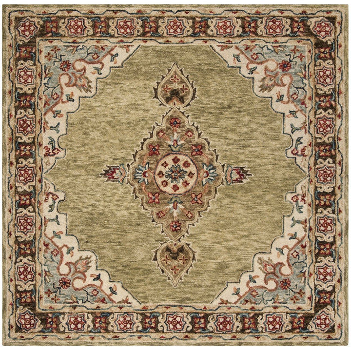 SAFAVIEH Aspen APN506A Handmade Sage / Brown Rug Image 1