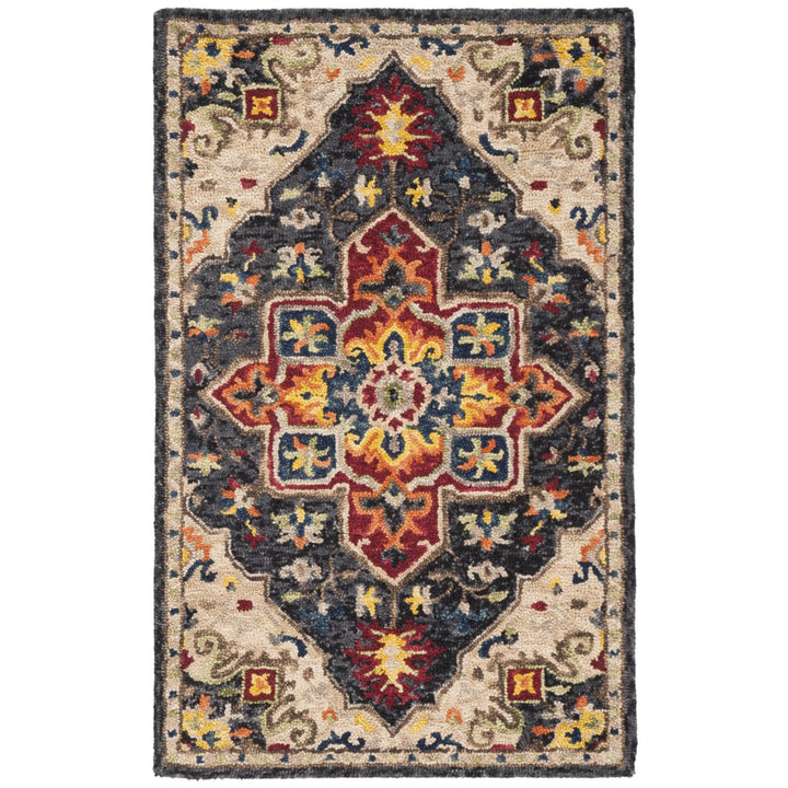 SAFAVIEH Aspen APN511H Handmade Charcoal / Cream Rug Image 1