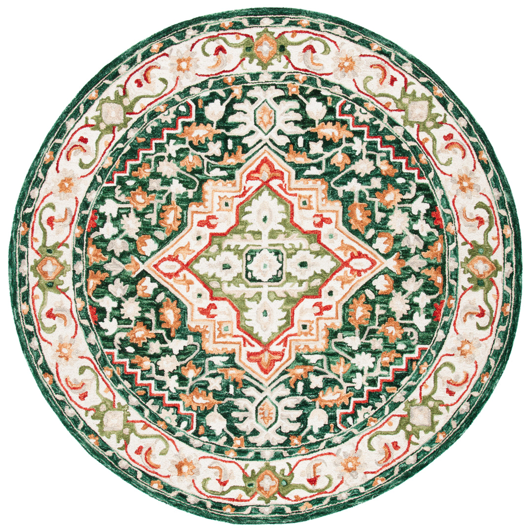 SAFAVIEH Aspen Collection APN705Q Handmade Green/Red Rug Image 4