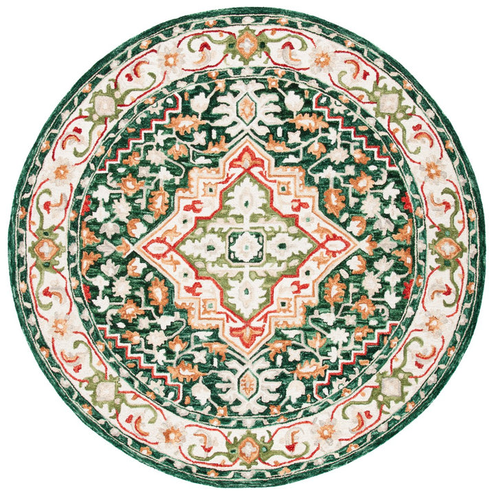 SAFAVIEH Aspen Collection APN705Q Handmade Green/Red Rug Image 1