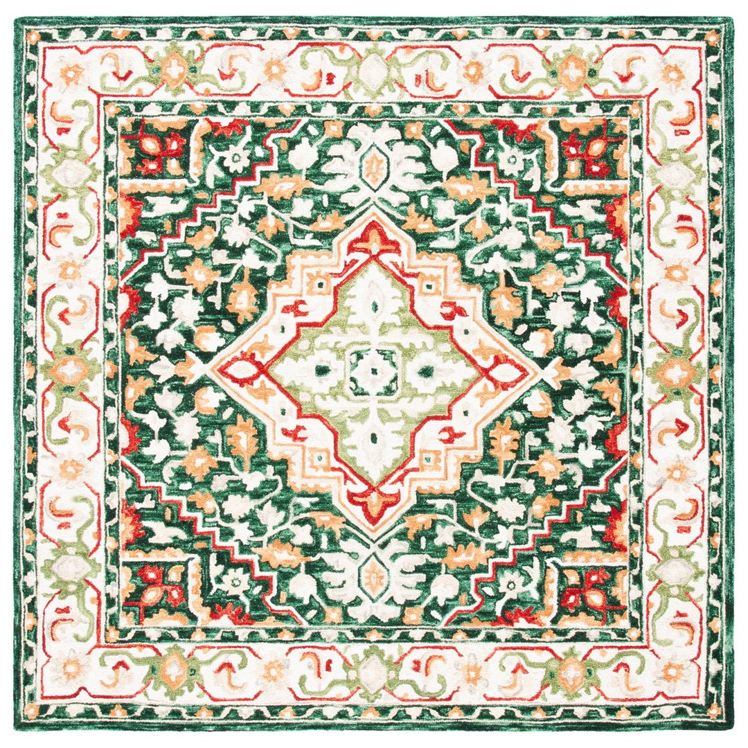 SAFAVIEH Aspen Collection APN705Q Handmade Green/Red Rug Image 1