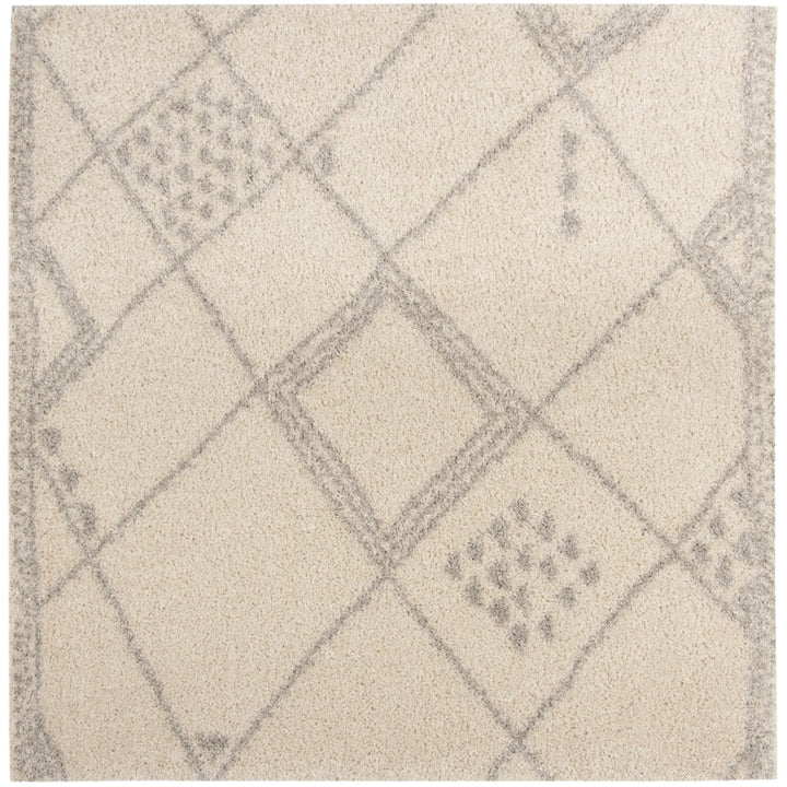 SAFAVIEH Arizona Shag Collection ASG751G Ivory / Grey Rug Image 1