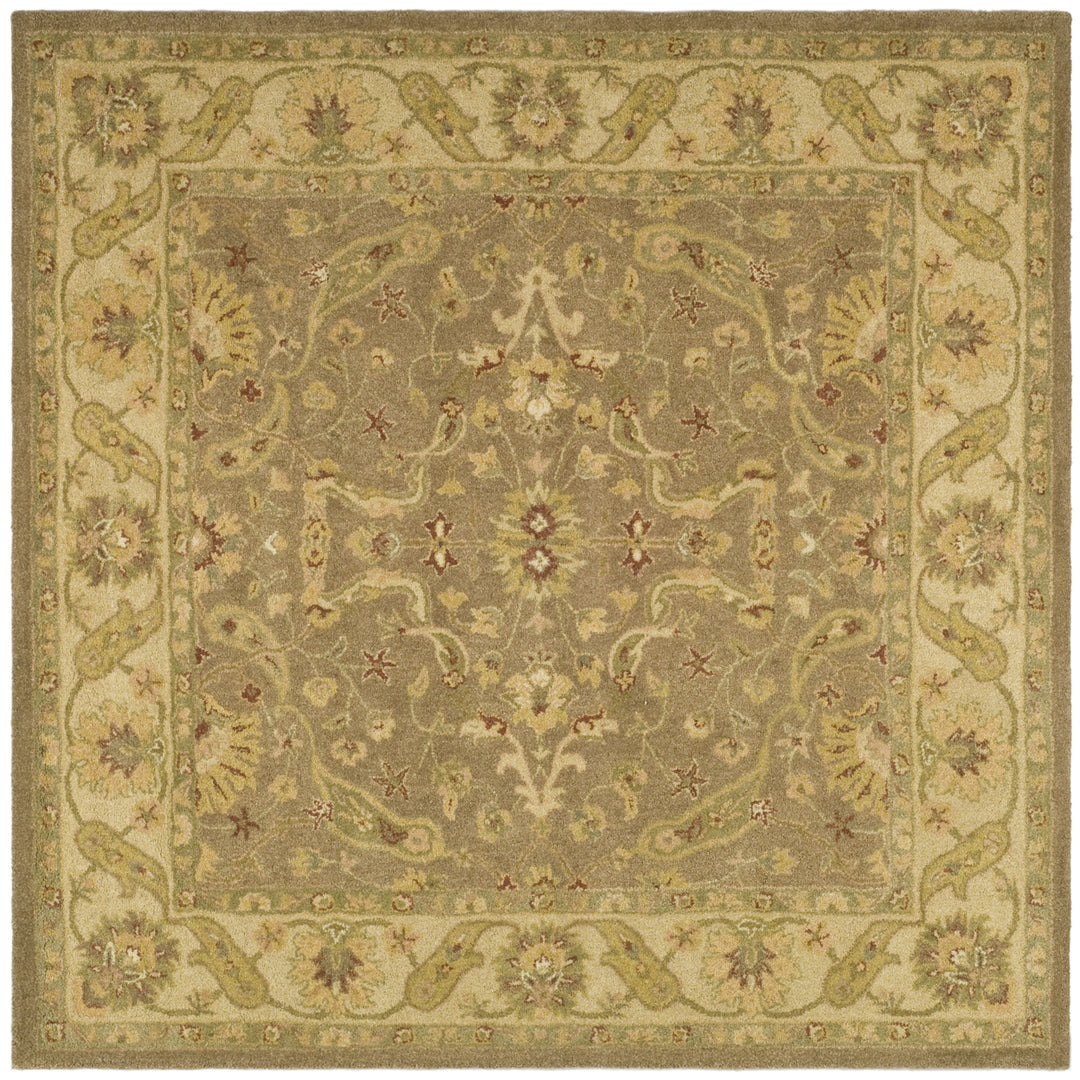 SAFAVIEH AT311A Antiquity Brown / Gold Image 10