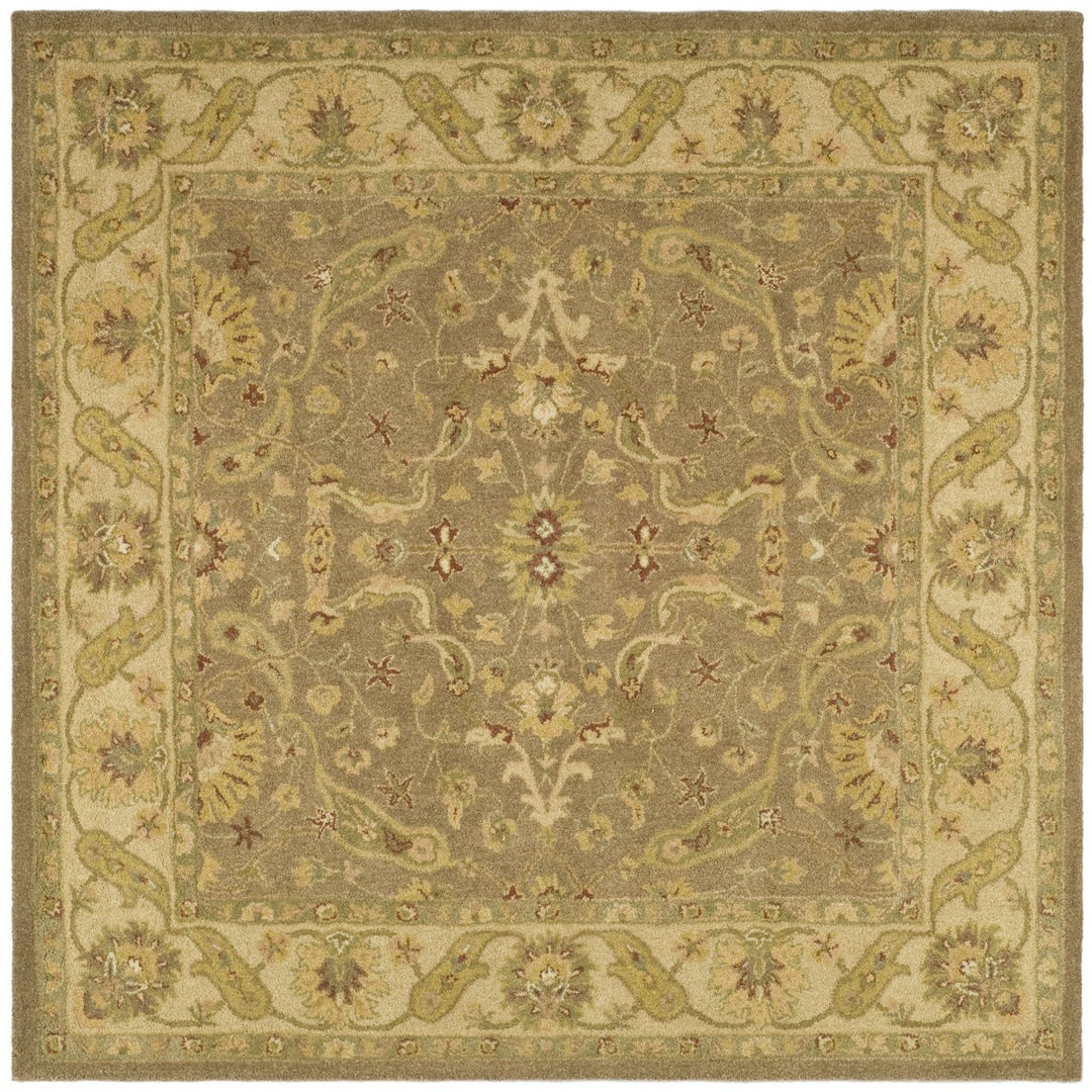 SAFAVIEH AT311A Antiquity Brown / Gold Image 1