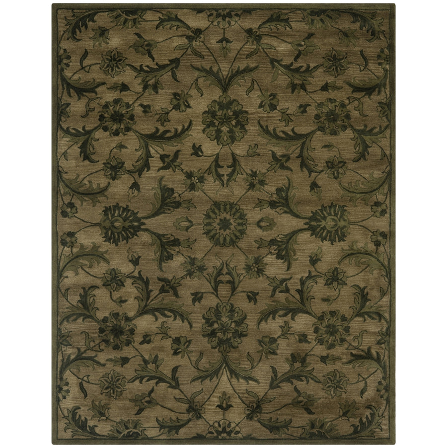 SAFAVIEH Antiquity AT824A Handmade Olive / Green Rug Image 1