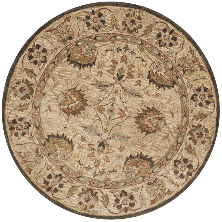 SAFAVIEH Antiquity AT812A Handmade Beige / Beige Rug Image 4