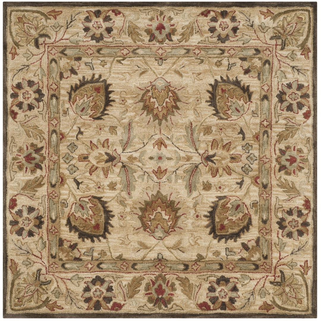 SAFAVIEH Antiquity AT812A Handmade Beige / Beige Rug Image 6