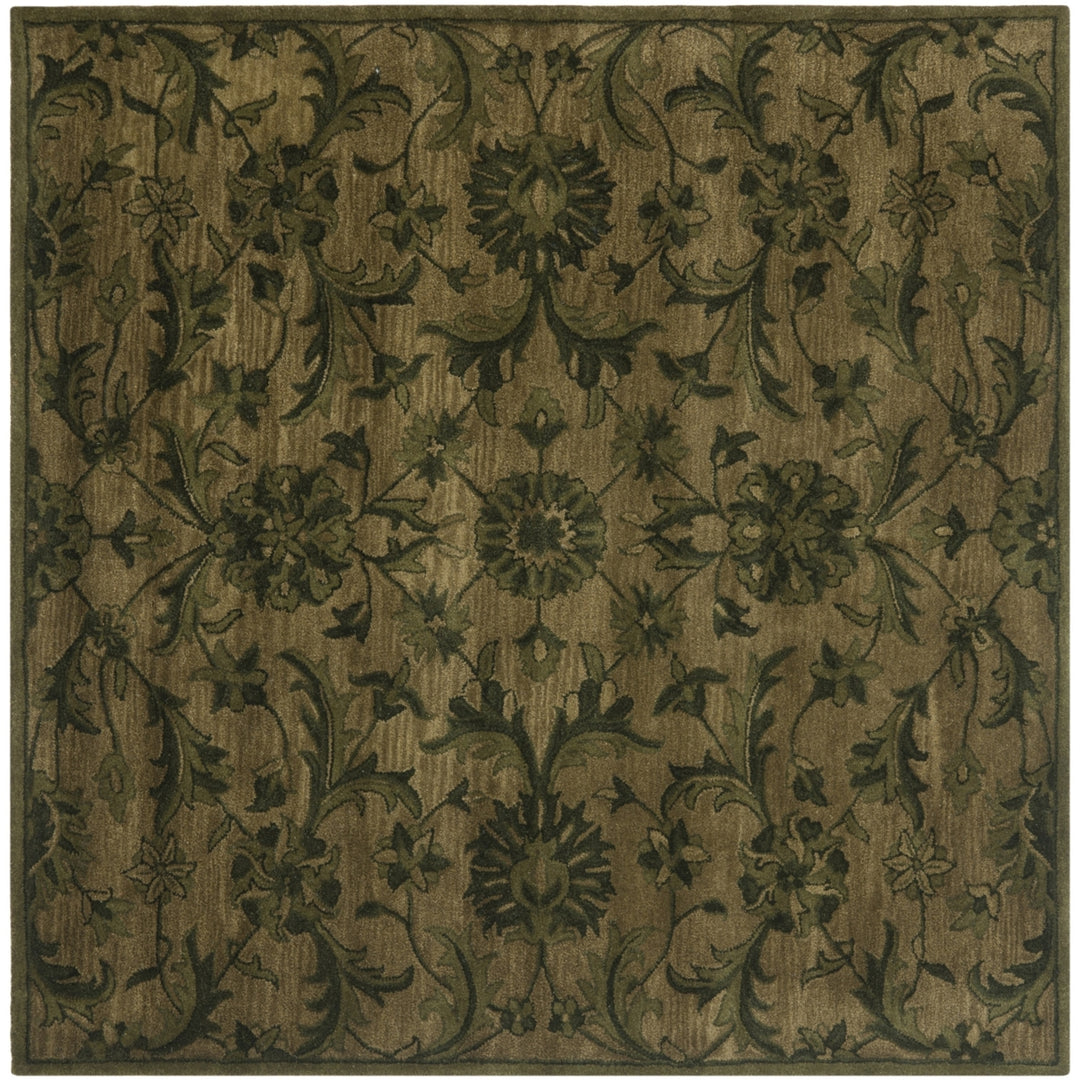 SAFAVIEH Antiquity AT824A Handmade Olive / Green Rug Image 6